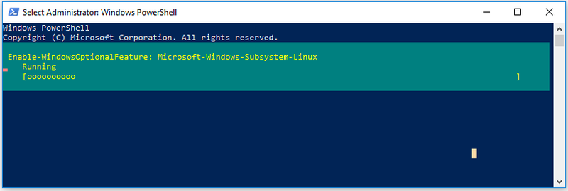 optionele Windows-functie inschakelen