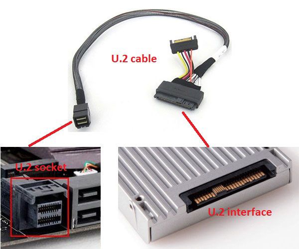U.2 interface og slot