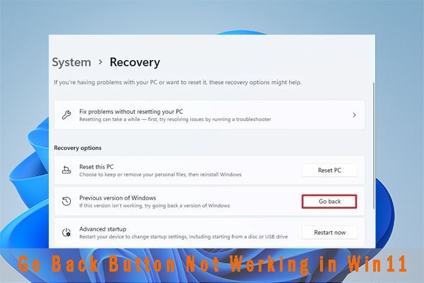 Terug-knop werkt niet in Windows 11