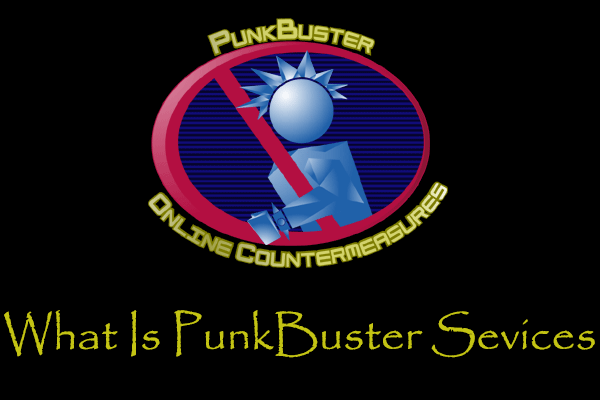 PunkBuster Services