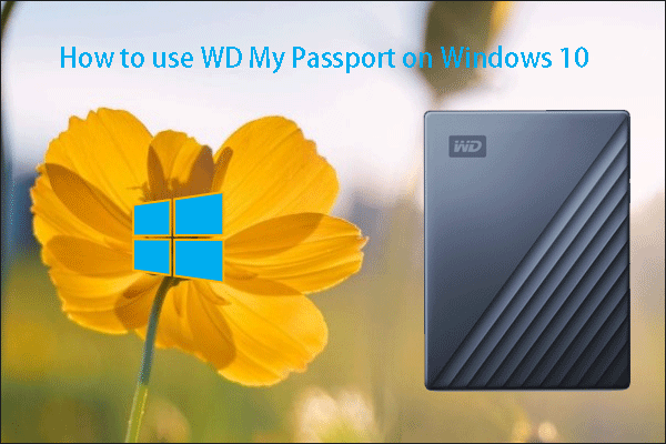 hoe WD My Passport te gebruiken op Windows 10