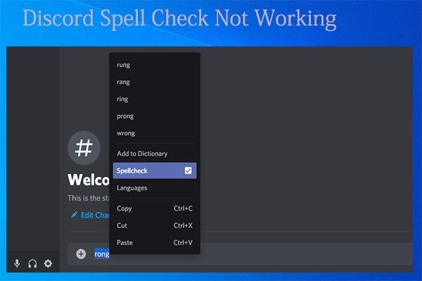 Discord stavekontrol