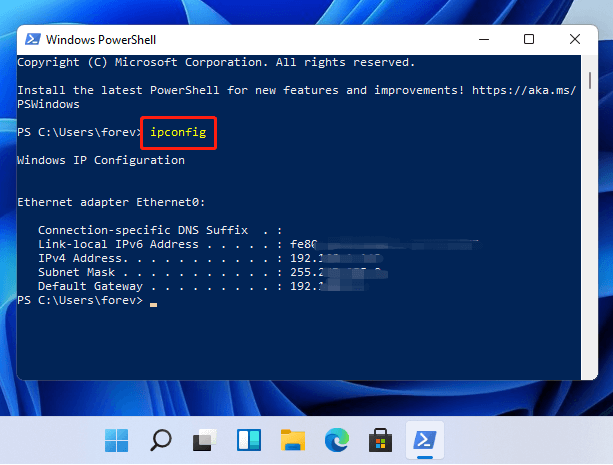 PowerShell ipconfig