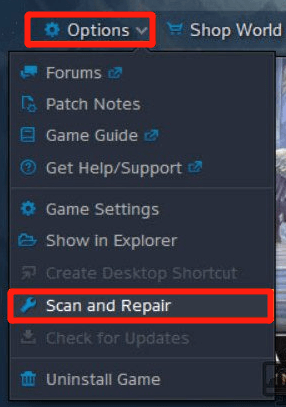 klik op Scannen en repareren in Blizzard