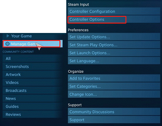 selecteer Controller-opties in Steam