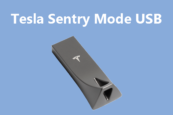 Tesla Sentry-modus USB
