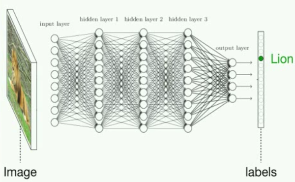 Ein Bild eines neuronalen Netzwerkdesigns.