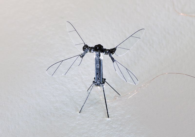 Der RoboBee X-Wing.