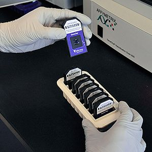 un technicien teste 142 gènes
