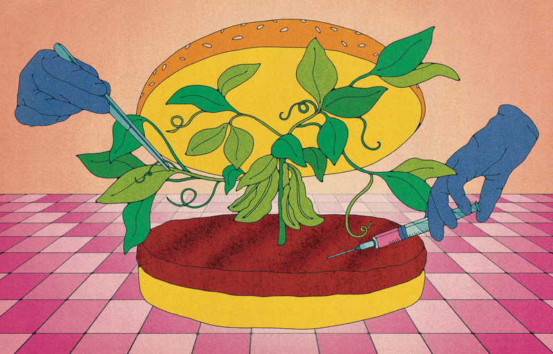 burger conçu avec des plantes