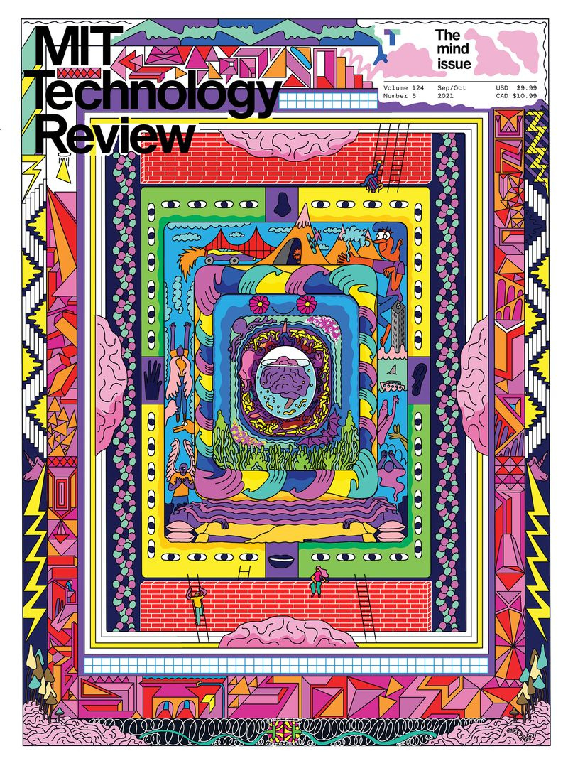 La questione della mente