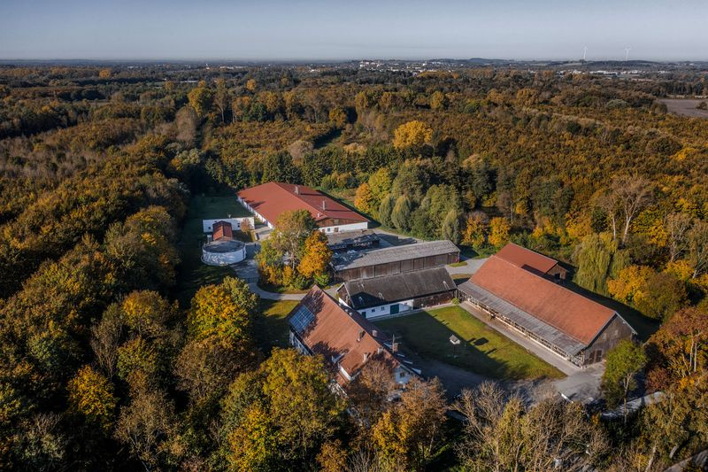 Überkopfaufnahme einer Schweineanlage
