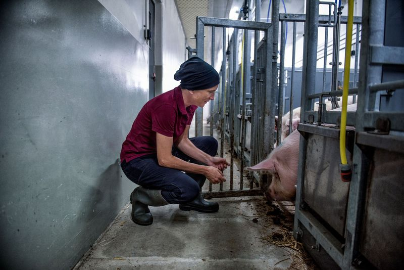 Foto des Tierarztes in der Testeinrichtung