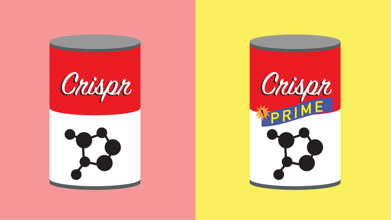Illustration conceptuelle de deux canettes, un Crispr régulier, un Prime