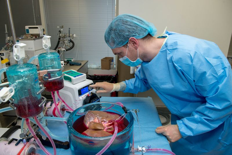 DR. de Vries
