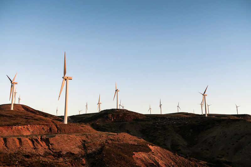 Ein Windpark.
