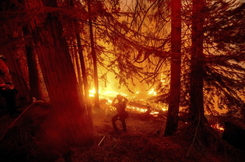 Feux de forêt en Californie