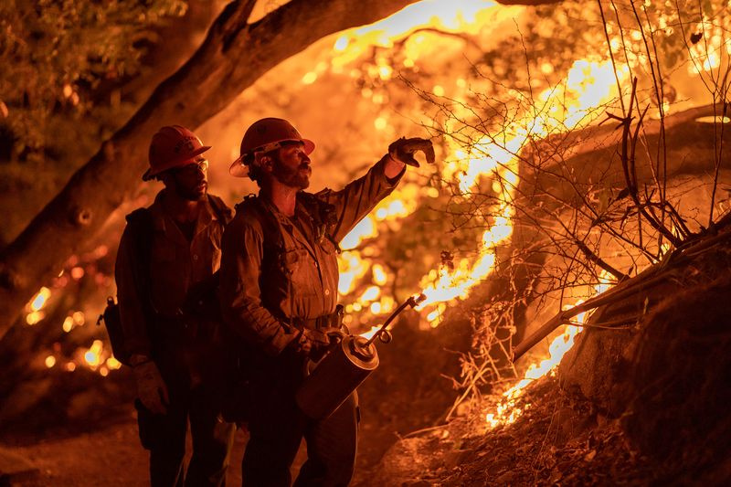 Incendie de forêt à Arcadia, en Californie