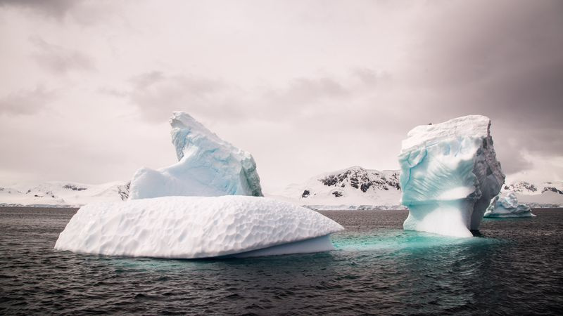 Icebergs près de l