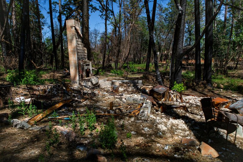 Schornsteine waren eines der wenigen Dinge, die nach dem Lagerfeuer auf vielen Grundstücken im ganzen Paradies stehen geblieben waren.