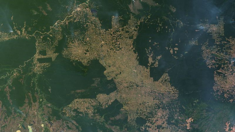 Abholzung im Bundesstaat Rondônia im Westen Brasiliens.