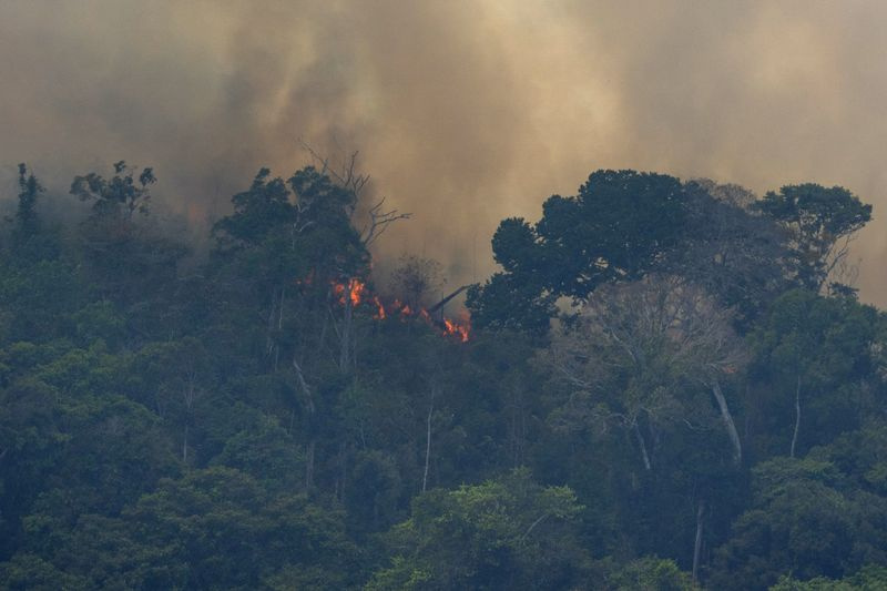 Foto des Waldbrandes im Amazonas-Regenwald