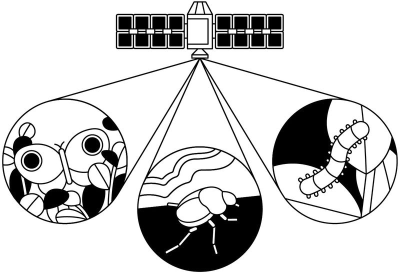 suivi des insectes par satellite
