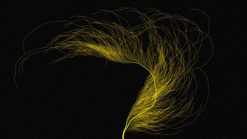 visualisation collatz dans Processing js