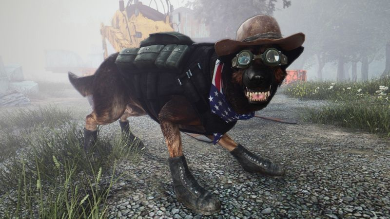 Et modificeret Dogmeat i Fallout 4