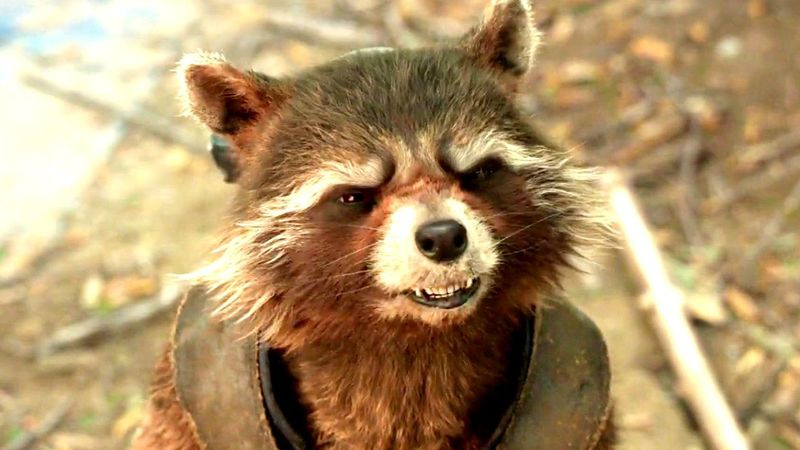 Bradley Cooper Marvel-Vertrag