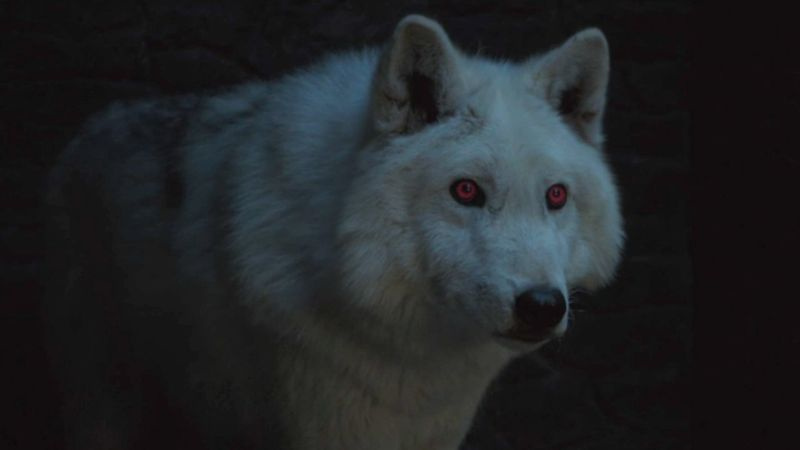 Krediet: HBO