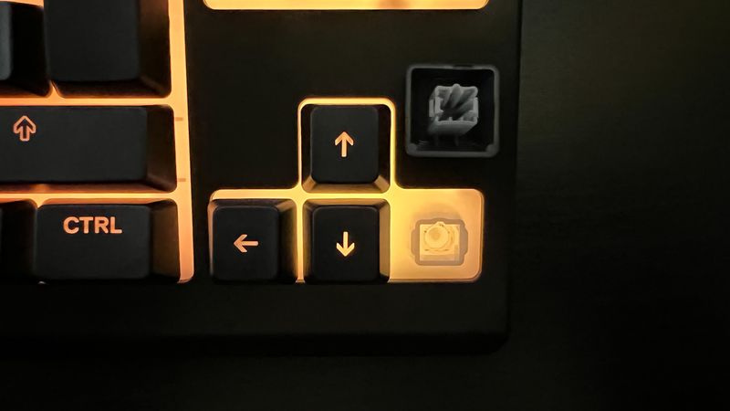 Interruttori SteelSeries Apex 3 TKL