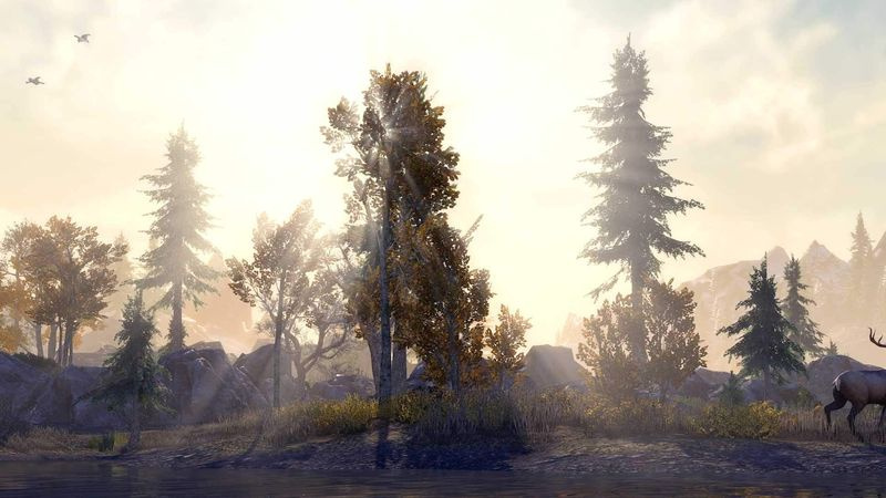 Parannettu Elder Scrolls Online -konsoli