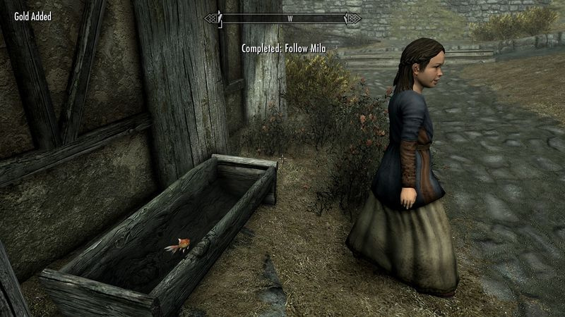 Skyrim Jubileumeditie