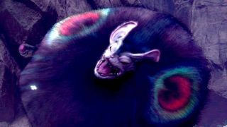 Monster Hunter World Iceborne Nightshade Paolumu