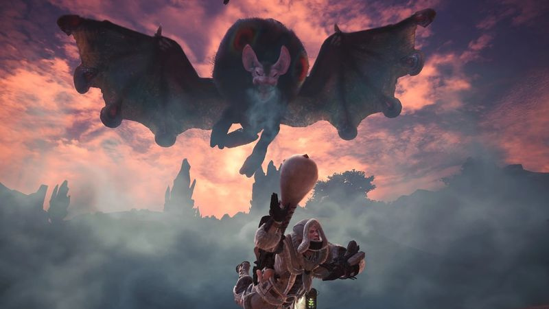 Nightshade Paolumu käyttäytyminen ja piirteet