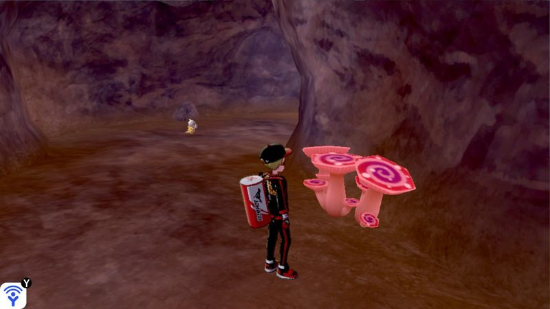 Isle of Armor Max Mushrooms