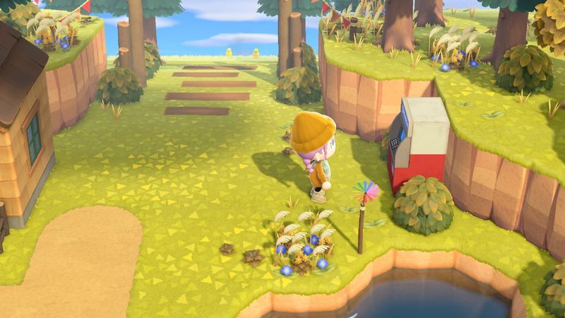 Animal Crossing: New Horizons