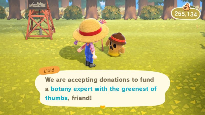 Animal Crossing: New Horizons