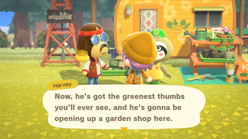 Animal Crossing: New Horizons