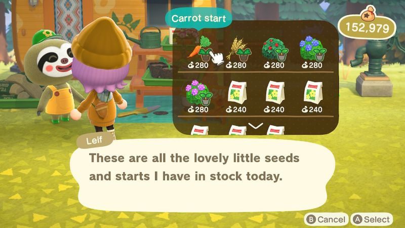 Animal Crossing: New Horizons