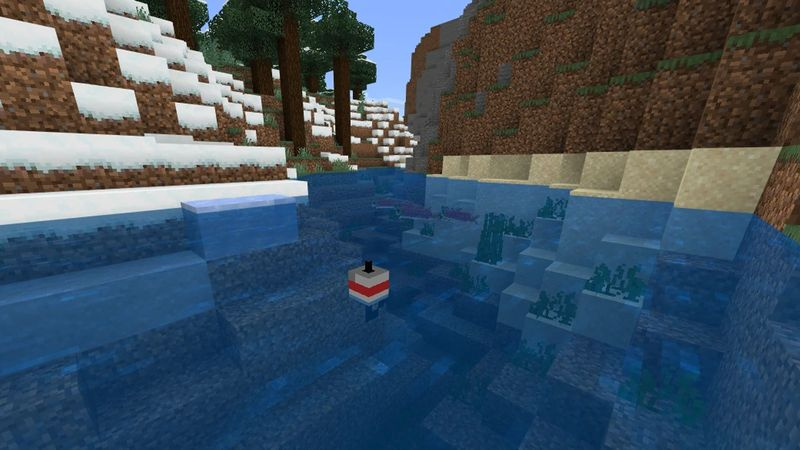 Vissen in Minecraft