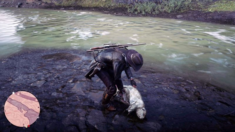 Red Dead Redemption 2 legendaariset eläimet - legendaarinen majava