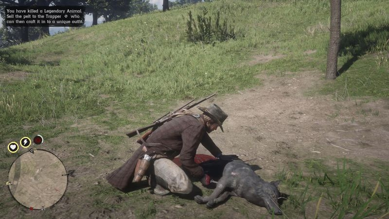 Red Dead Redemption 2 legendaariset eläimet - legendaarinen kojootti