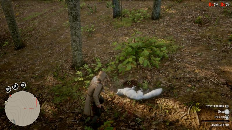 Red Dead Redemption 2 legendaariset eläimet - legendaarinen kettu