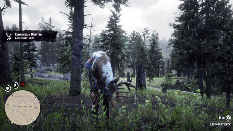 Red Dead Redemption 2 legendaariset eläimet - Legendaarinen buck