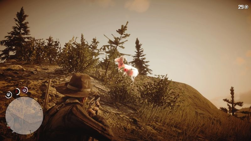 Red Dead Redemption 2 legendaariset eläimet - Legendaarinen isosarvipässi