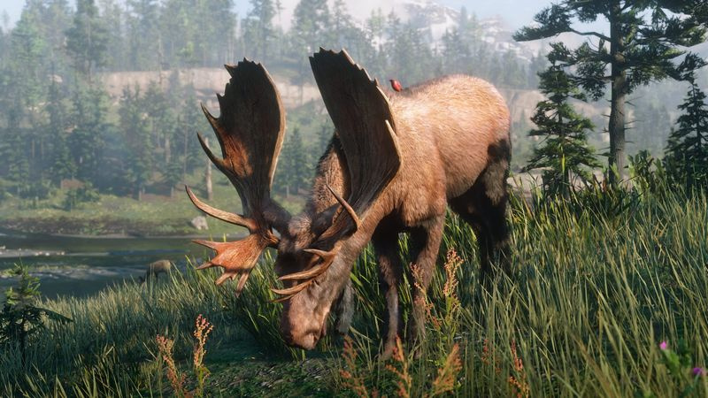 Red Dead Redemption 2 Meisterjäger-Herausforderungen Verwenden Sie Köder, um sowohl einen Pflanzenfresser als auch ein Raubtier anzulocken und zu töten
