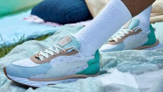 Puma che attraversa animali