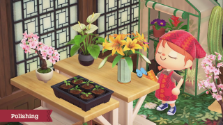 Animal Crossing New Horizons Sblocca Happy Home Paradise